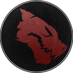 Chosen 20 Logo